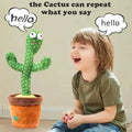 Keep Smiling Rechargeable Voice Repeat Toy – Fun Echo Microphone for Kids!